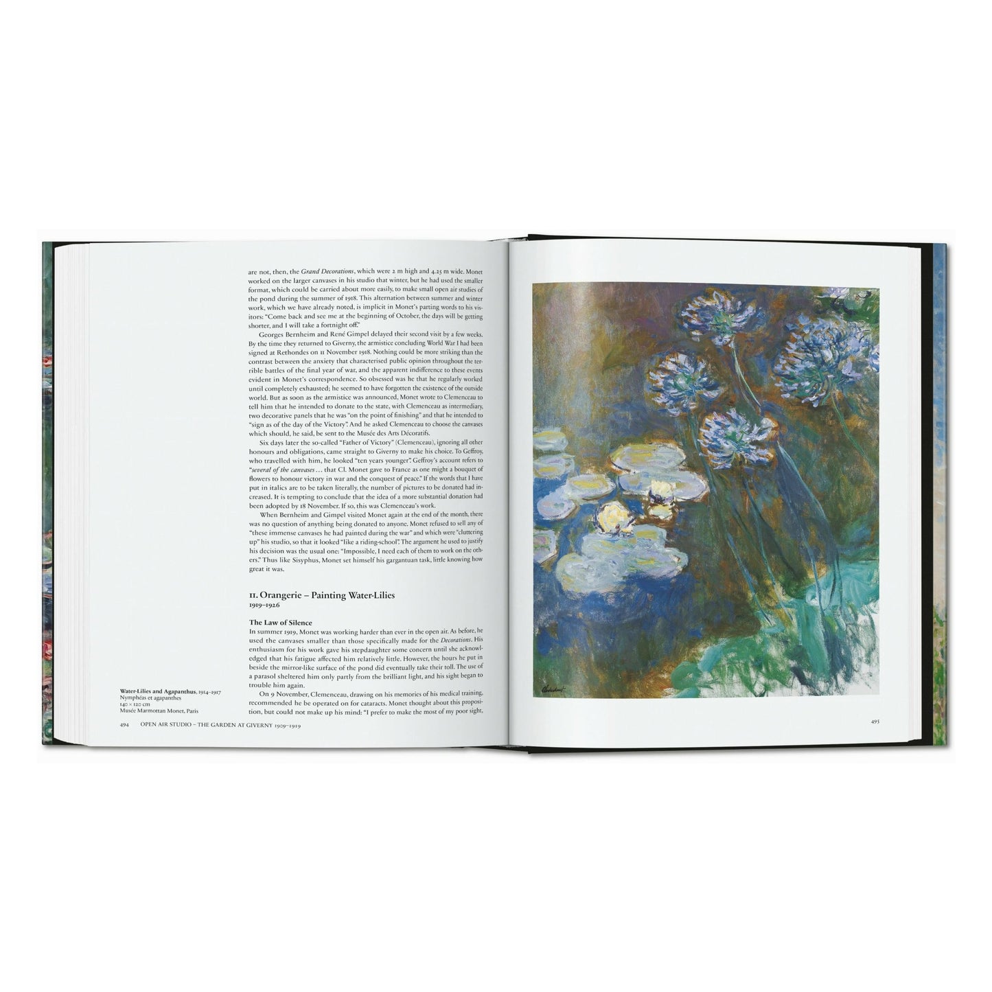 Monet. O Triunfo do Impressionismo (Portuguese)