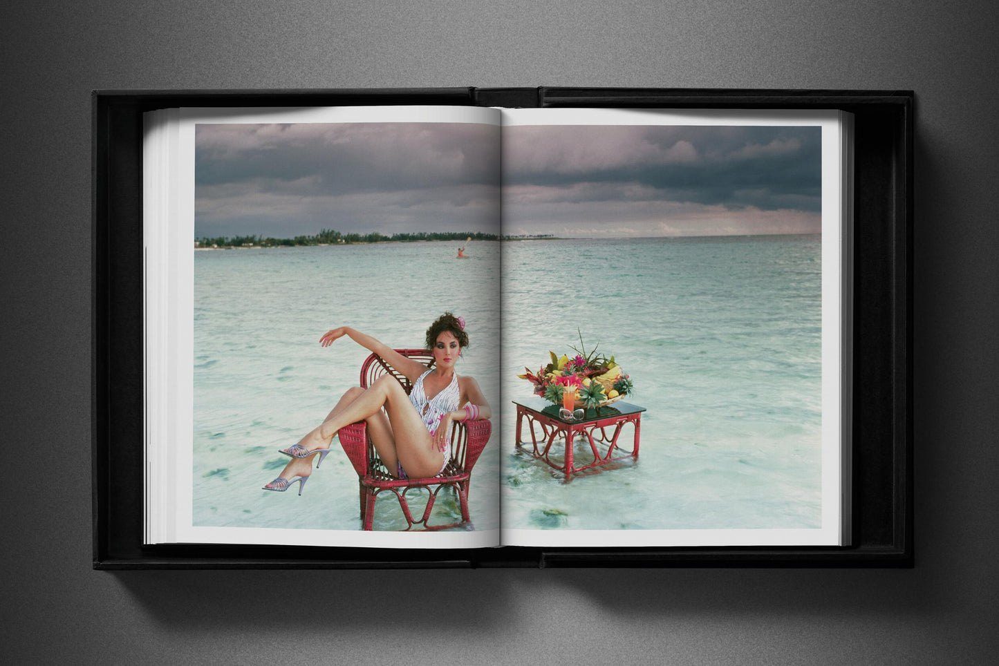 David Bailey. Eighties. Art Edition No. 101–200, ‘Jerry Hall and Jacques Henri Lartigue’, 1983 (English)