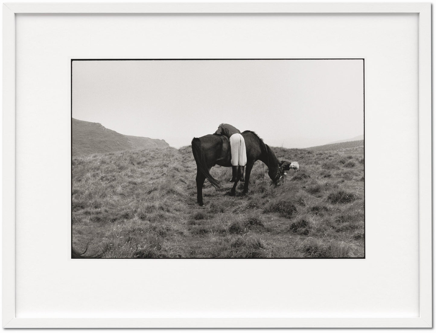 Linda McCartney. Life in Photographs, Art Edition No. 1–125 ‘Horse’ (English)