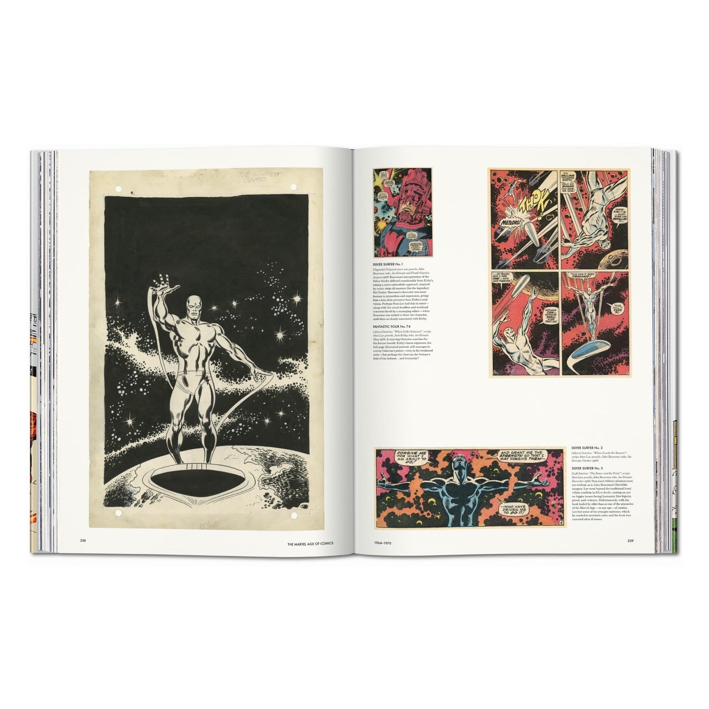 The Marvel Age of Comics 1961–1978 (English)
