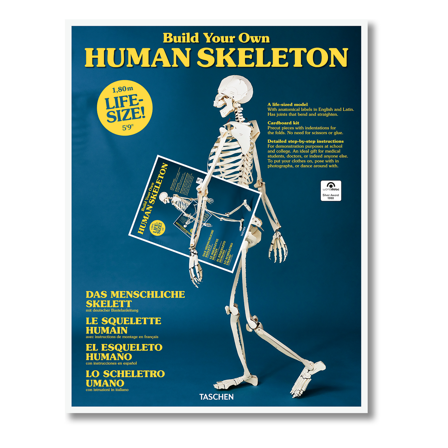 Build Your Own Human Skeleton (German, Spanish, French, English, Italian)