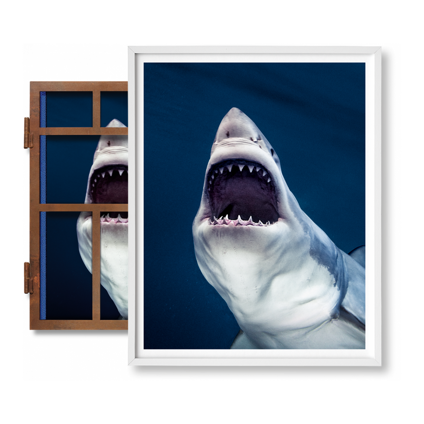 Michael Muller. Sharks, Art Edition No. 1–100 ‘Tear You Apart’ (English)