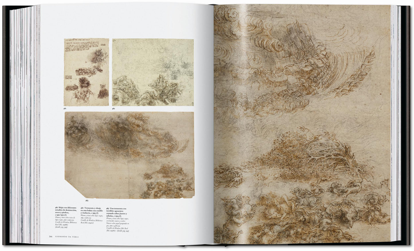 Leonardo. Tutti i dipinti e disegni (Italian)