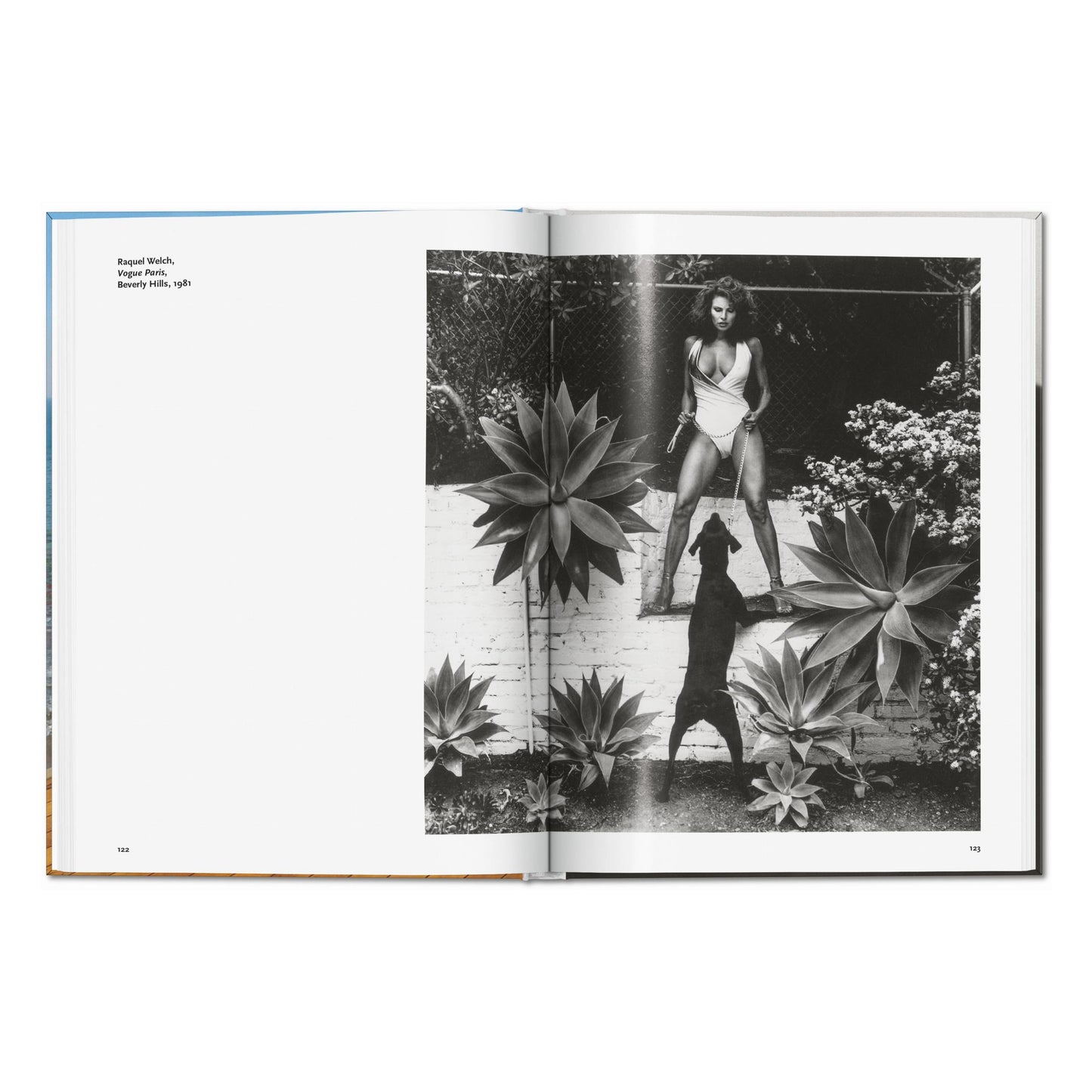 Helmut Newton (German, French, English)