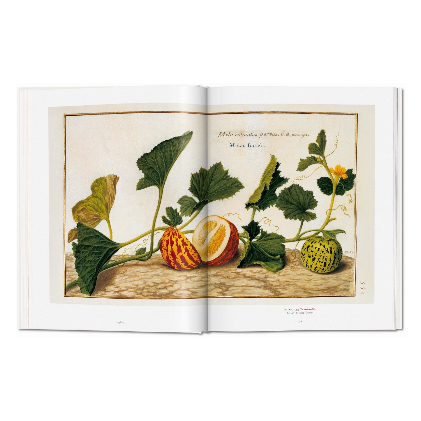 A Garden Eden. Masterpieces of Botanical Illustration (Spanish, English, Italian)