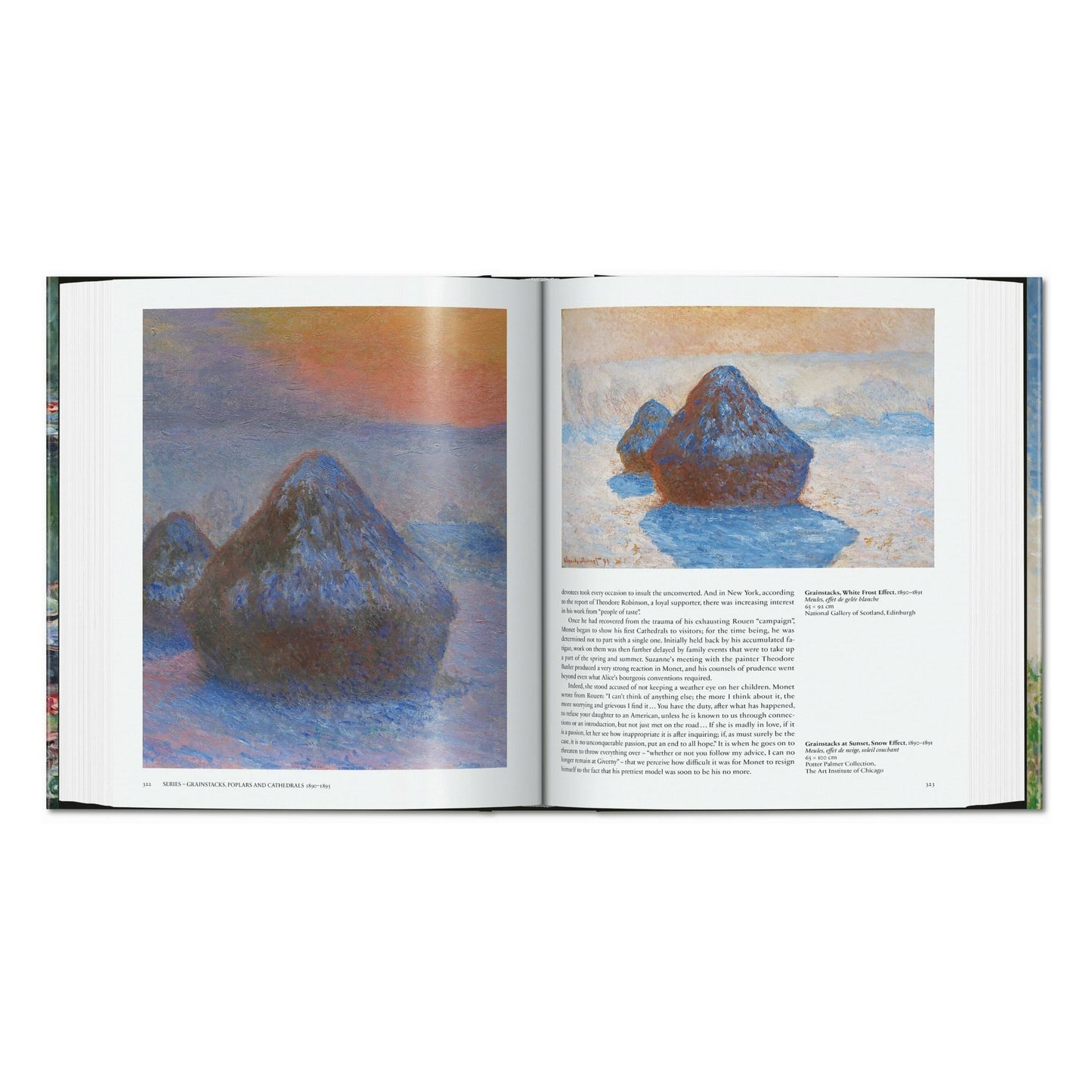 Monet. Il trionfo dell'impressionismo (Italian)