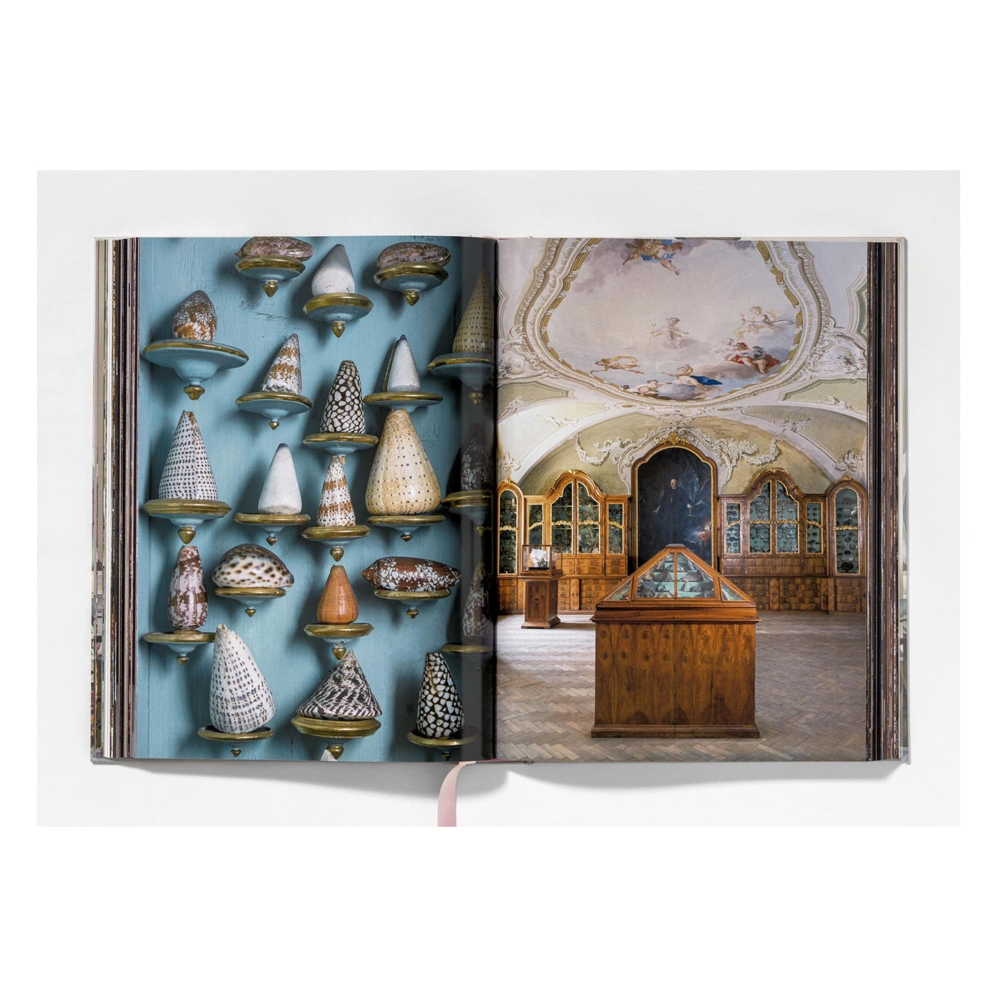 Massimo Listri. Cabinet of Curiosities (German, French, English)