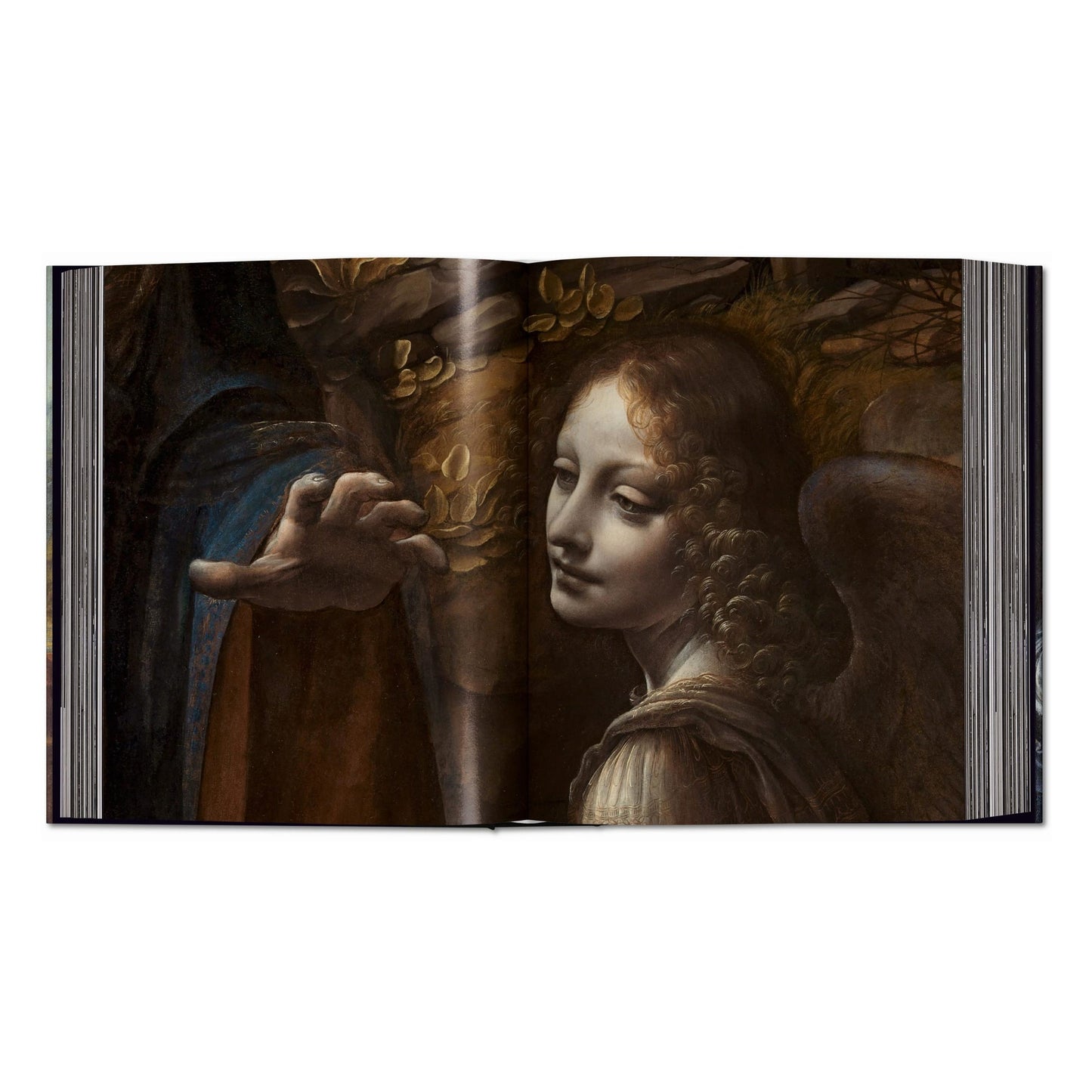 Léonard de Vinci. Tout l'œuvre peint et graphique (French)