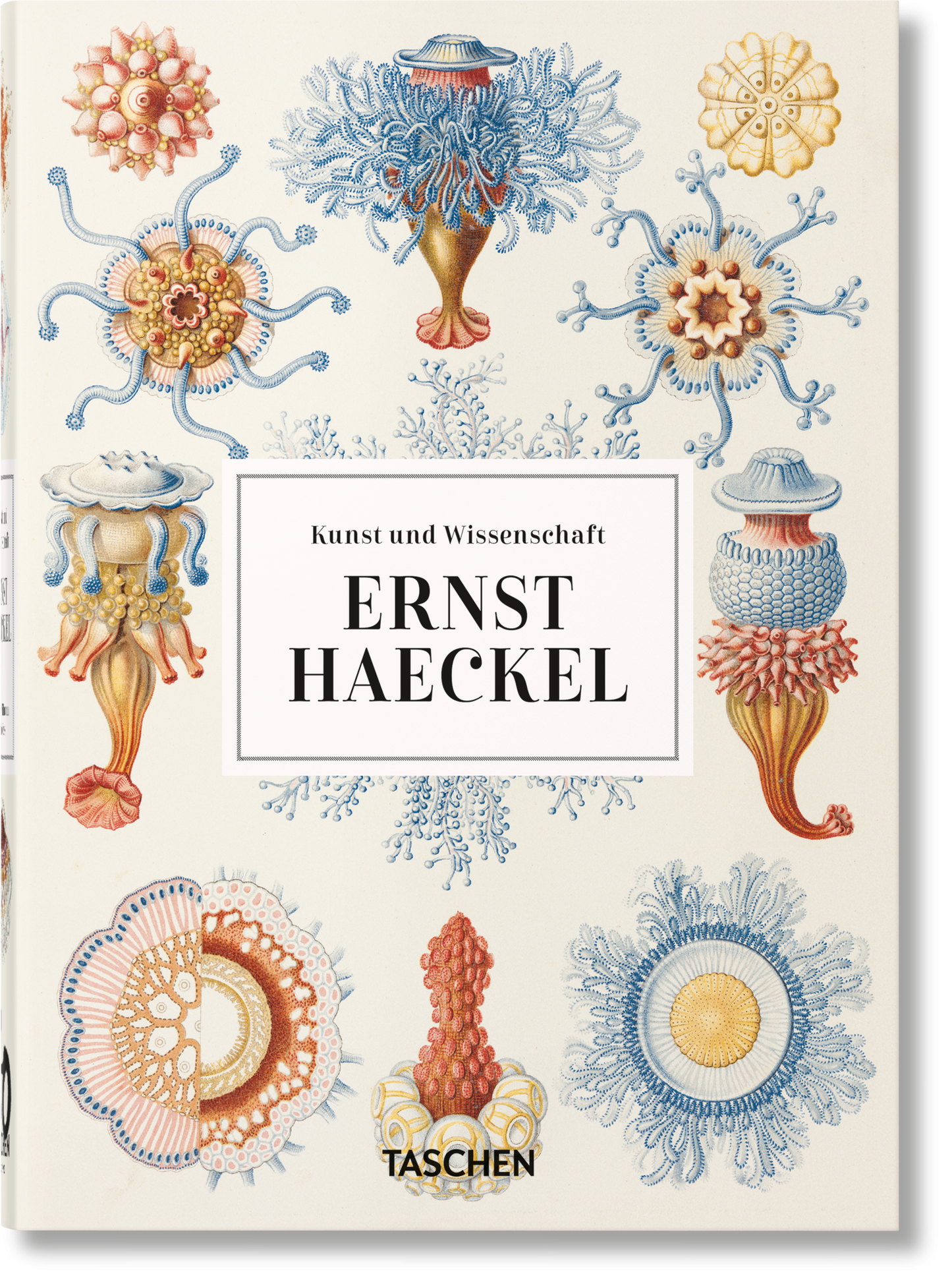 Ernst Haeckel. Kunst und Wissenschaft. 40th Ed. (German)