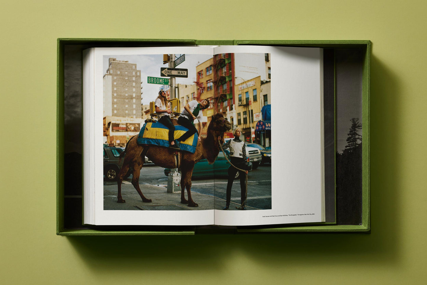 Bruce Weber. My Education. Art Edition No. 1–100, ‘Jeff Aquilon, Kona, Hawaii’, 1982 (German, French, English) (AP)