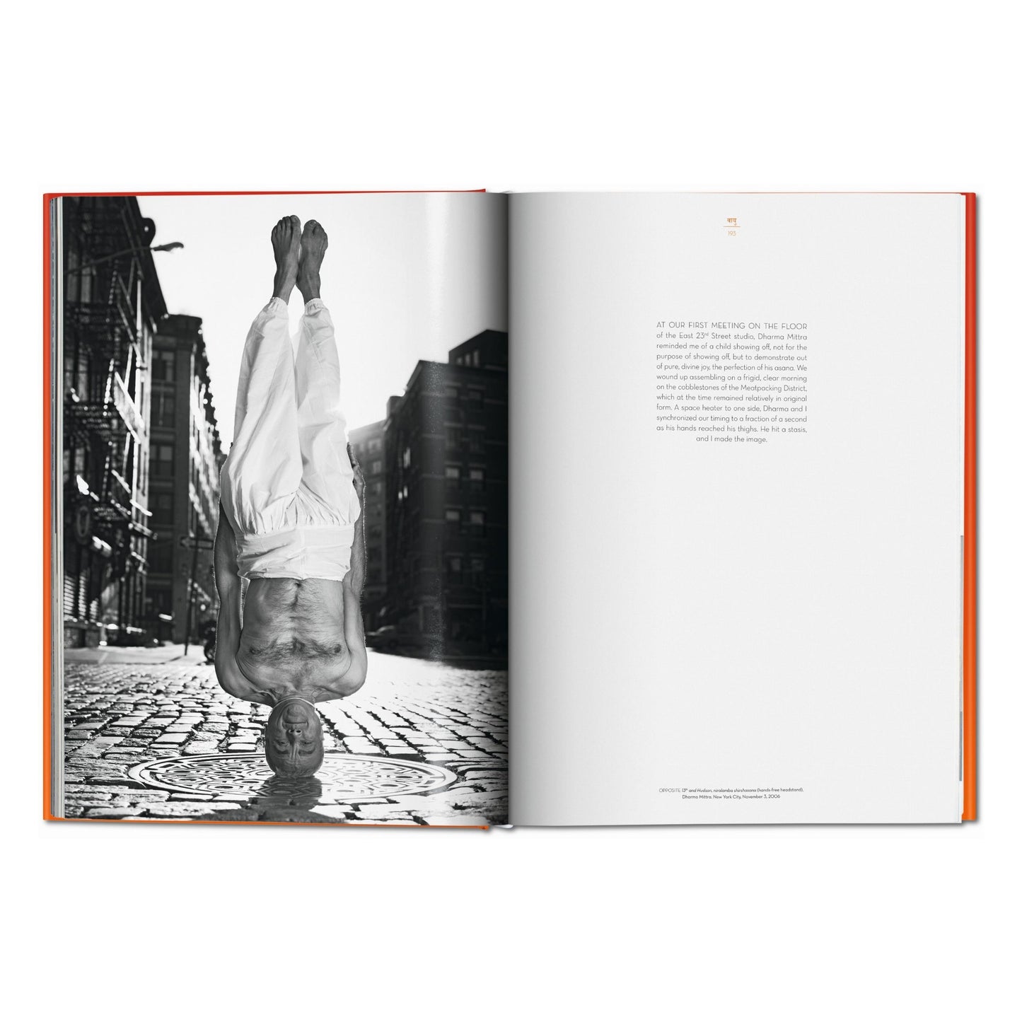 Michael O'Neill. Sullo Yoga: L'architettura della pace (Italian)