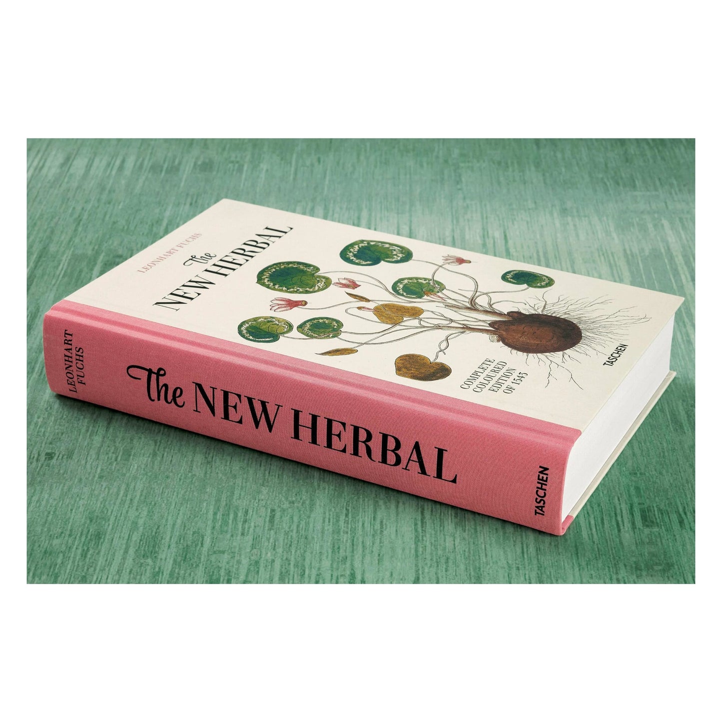 Leonhart Fuchs. Le Nouvel Herbier (French)