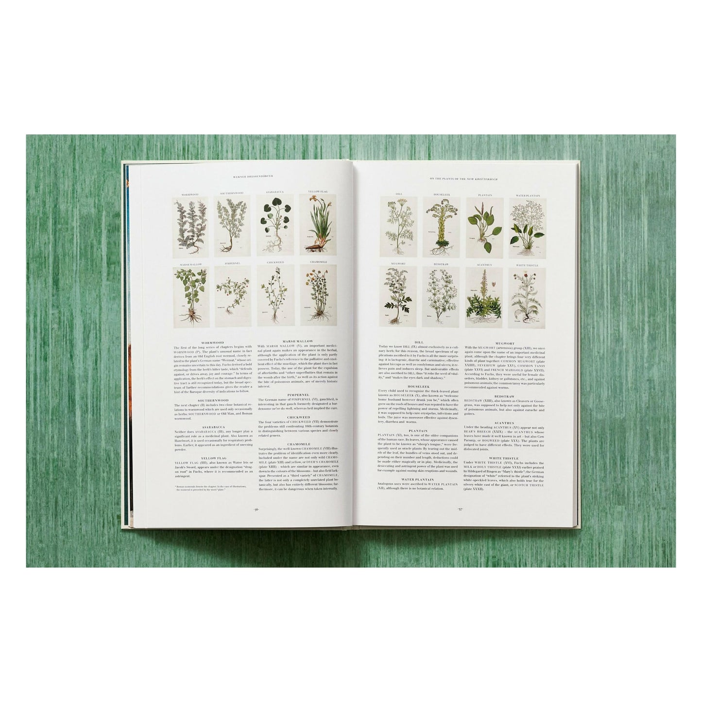 Leonhart Fuchs. Das New Kreüterbuch (German)