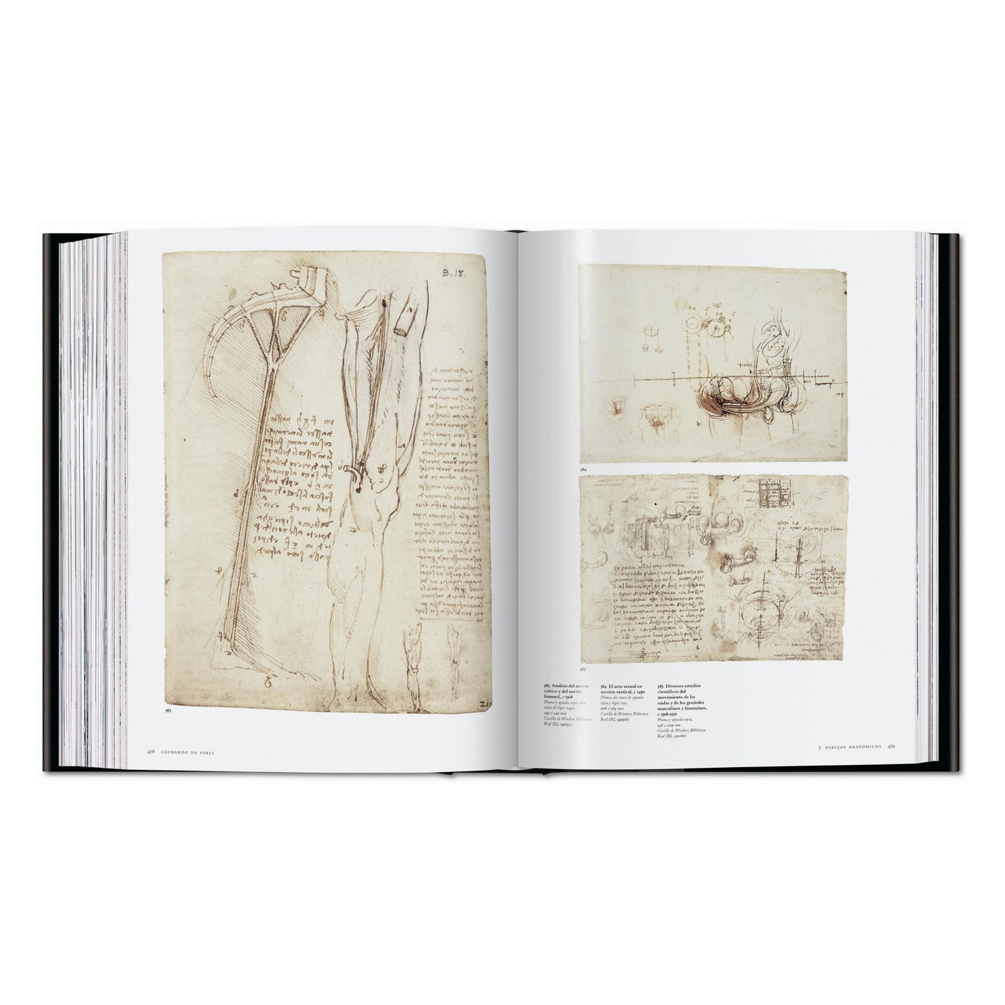 Leonardo. Obra pictórica completa y obra gráfica (Spanish)