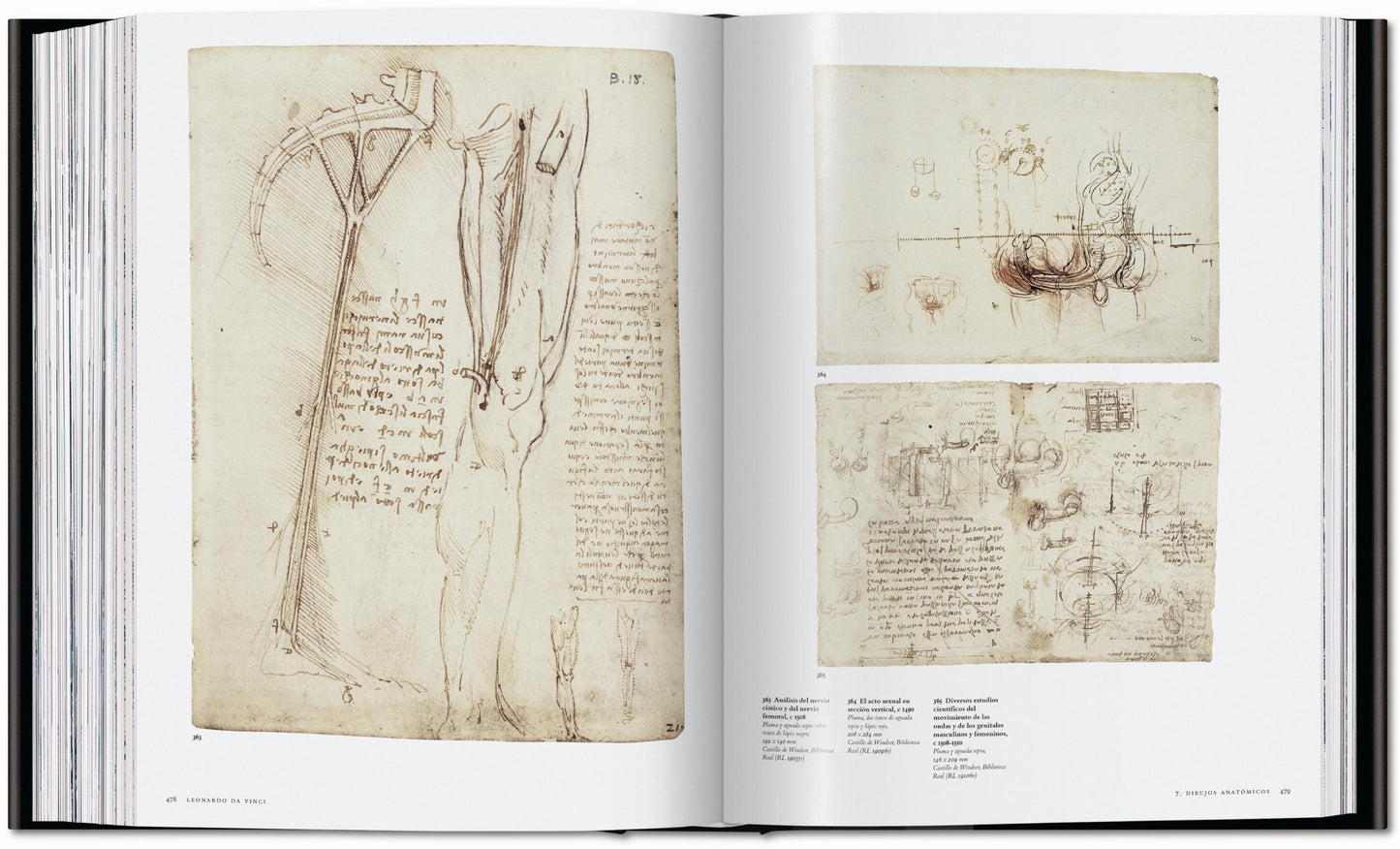 Leonardo. Tutti i dipinti e disegni (Italian)