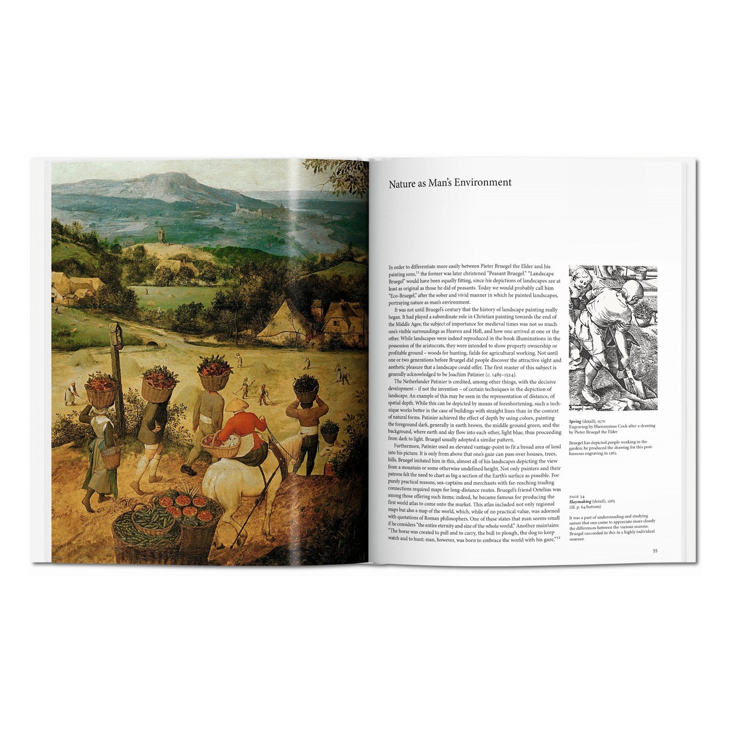 Bruegel (Spanish)