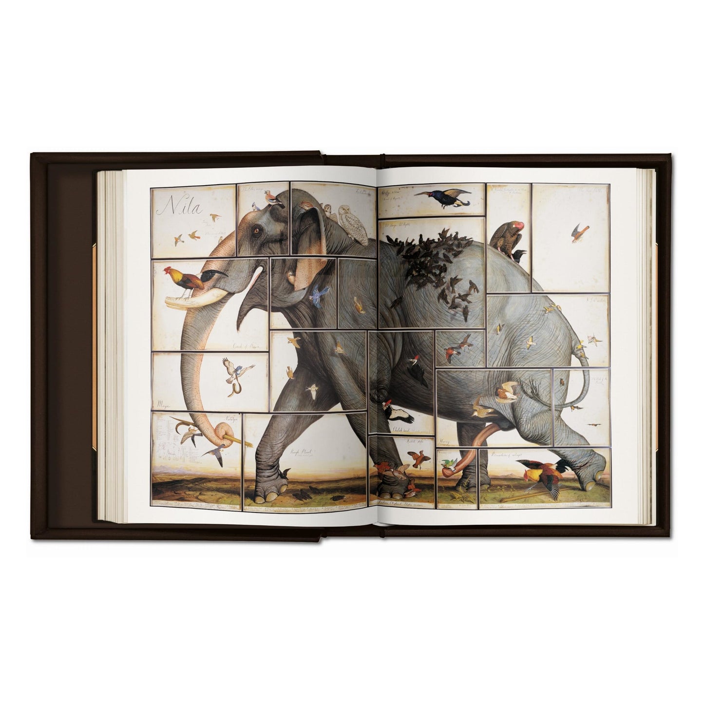 Walton Ford. Pancha Tantra (German, French, English) (SA)