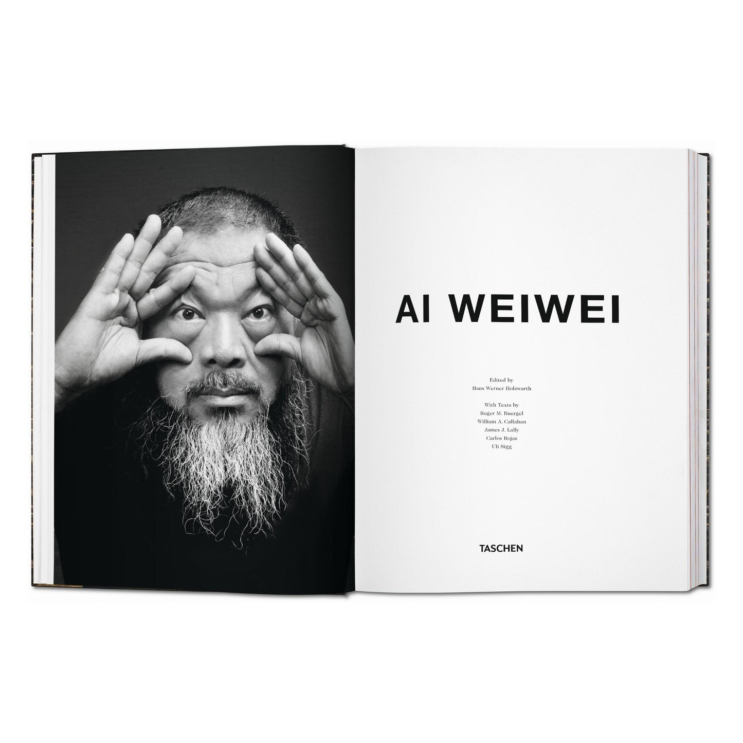 Ai Weiwei (German, French, English)