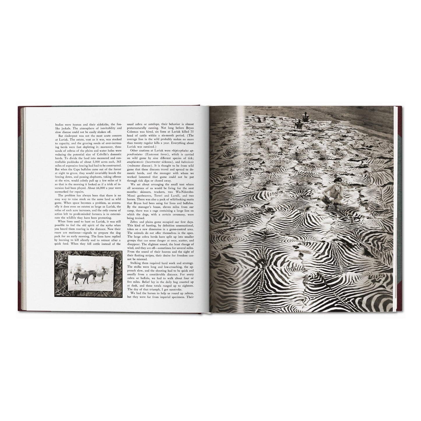 Peter Beard. The End of the Game. Revisited 2020 Edition (English)