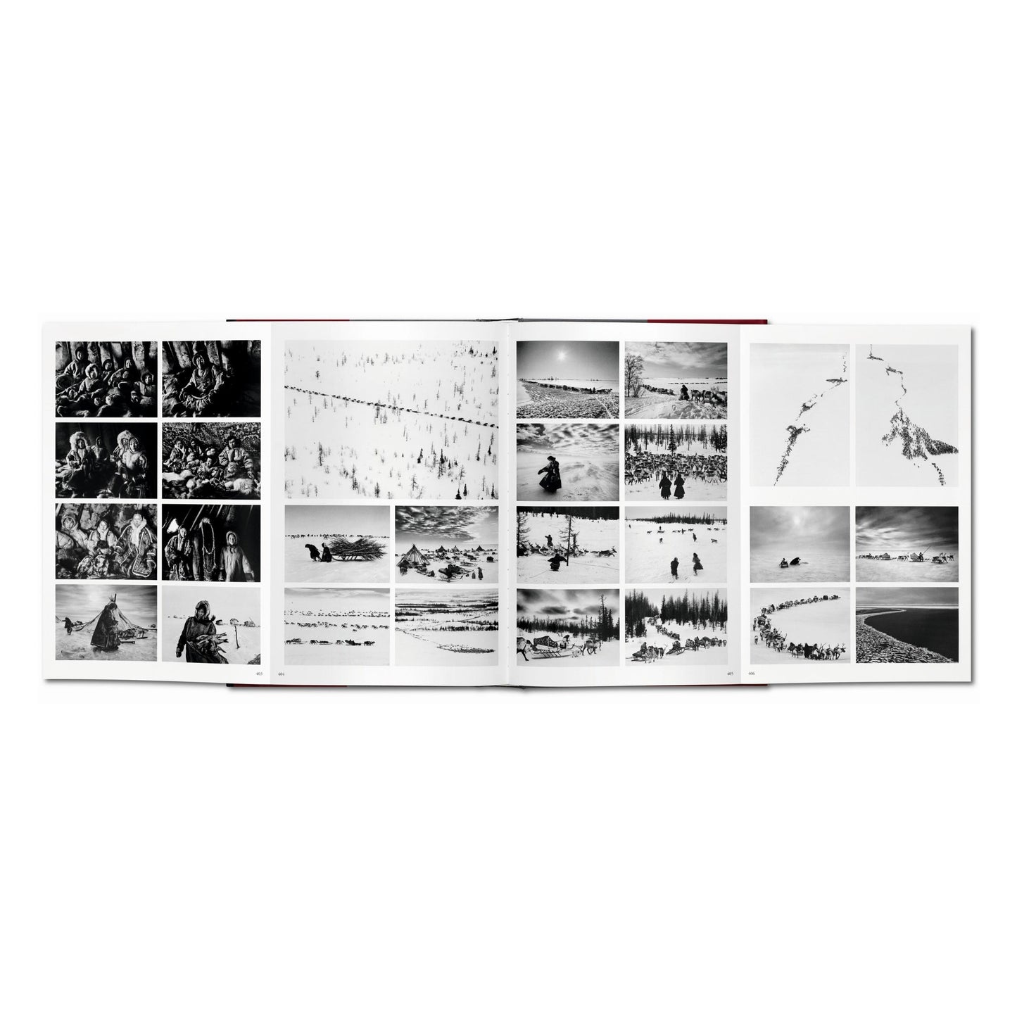 Sebastião Salgado. Genesi (Italian)