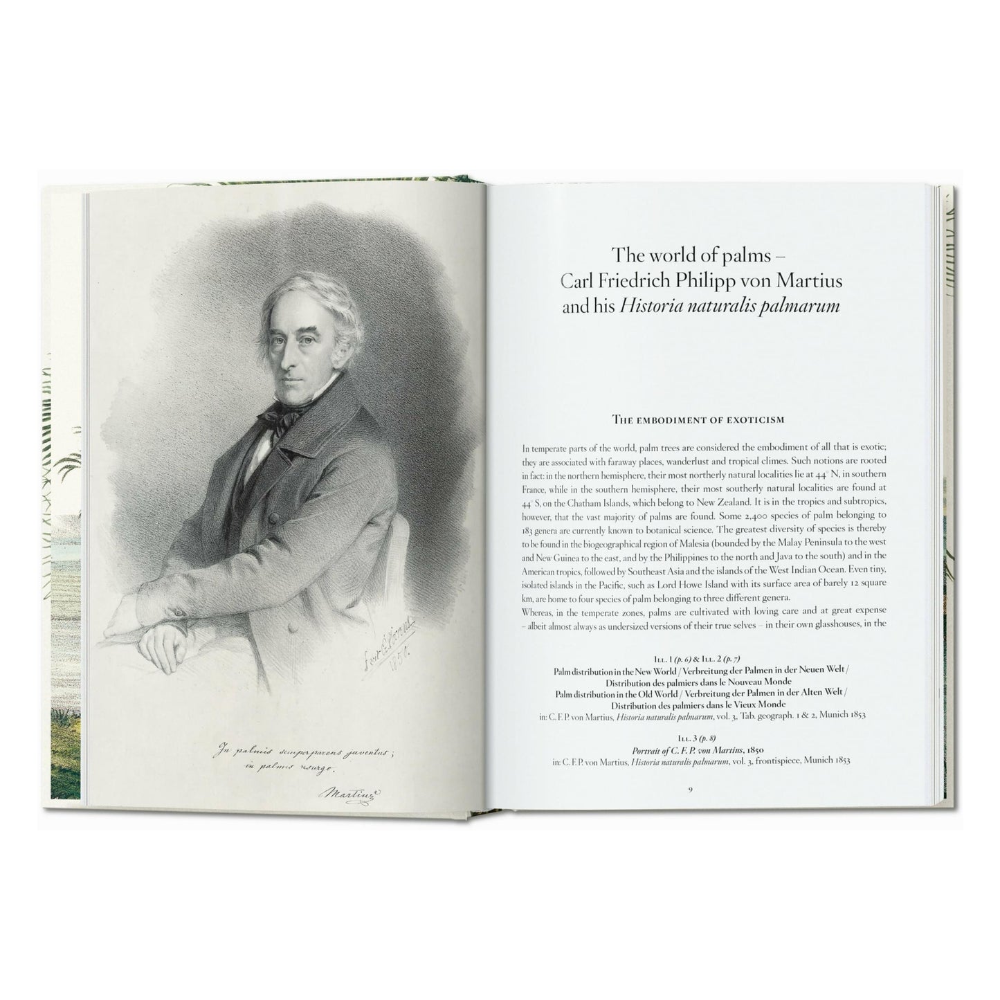 Martius. El libro de las palmeras. 45th Ed. (Spanish, Italian, Portuguese)