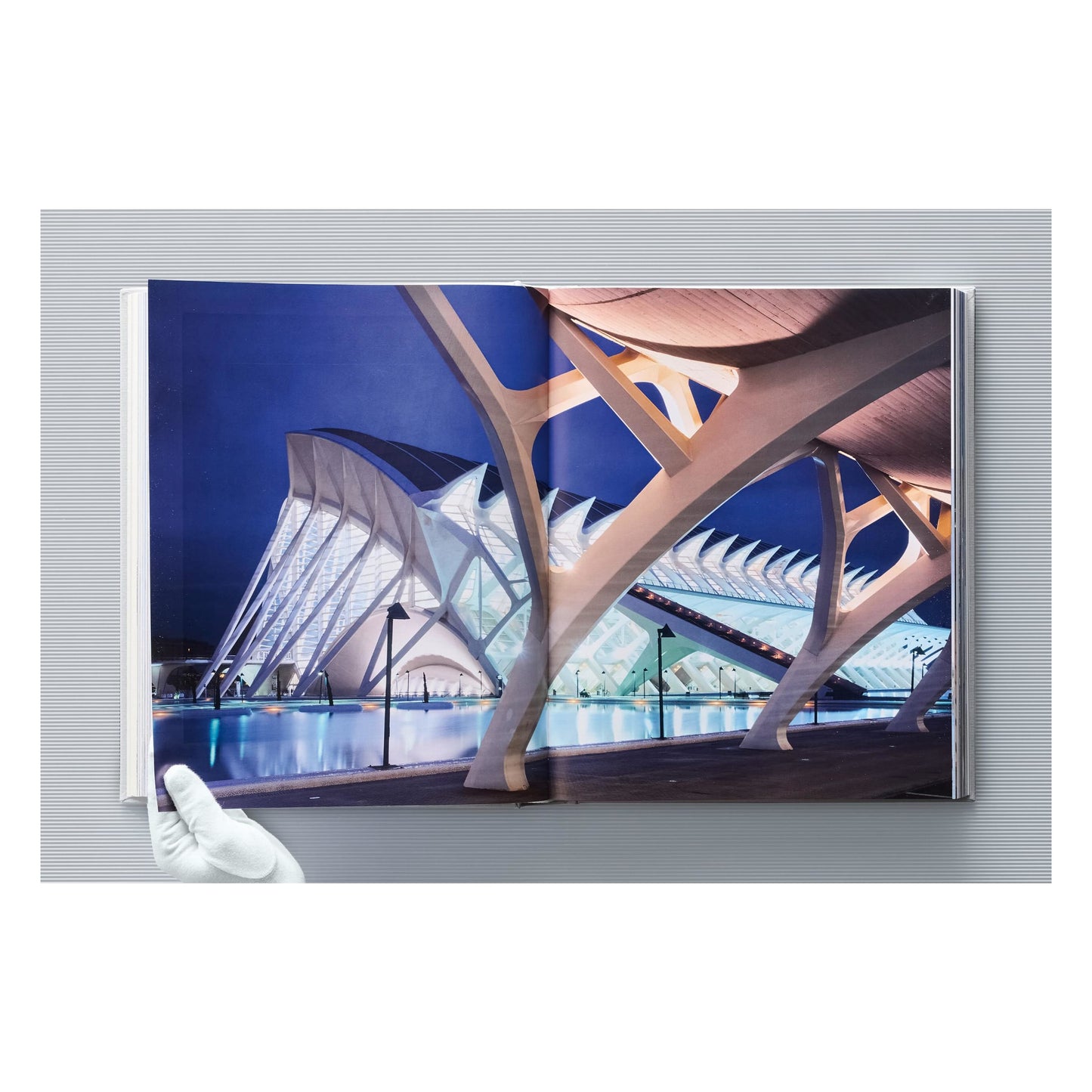 Calatrava. Complete Works 1979–Today. Art Edition Transfigured Trees 'Evening Star' and 'Morning Sun' (German, French, English) (SA)