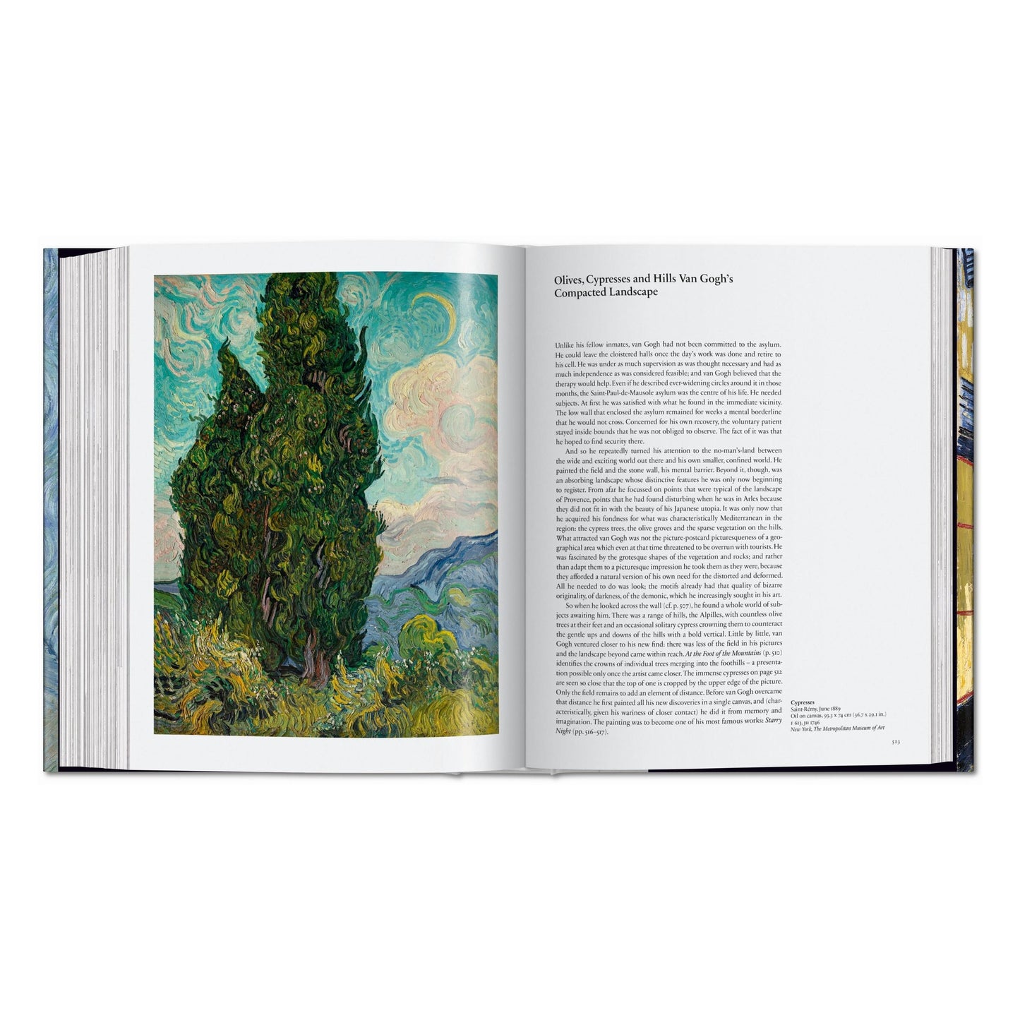 Van Gogh. Sämtliche Gemälde (German)