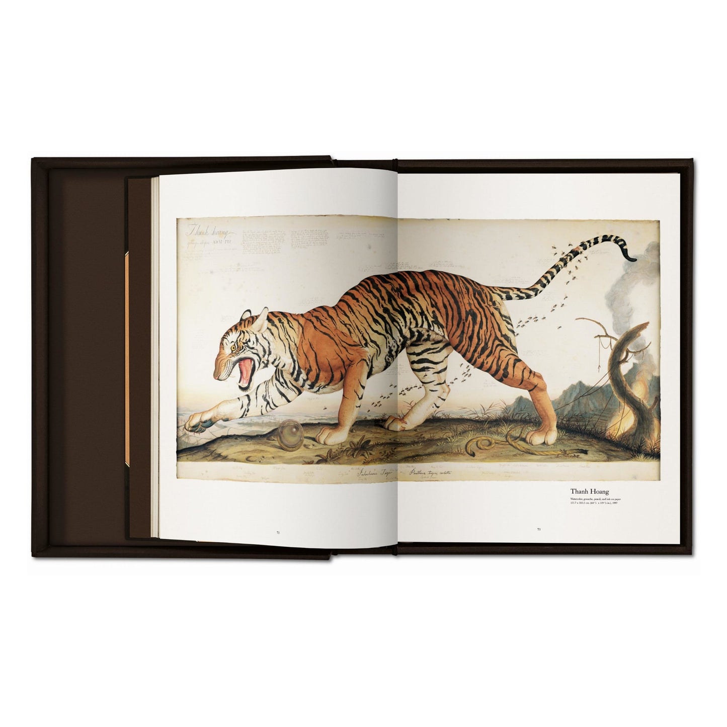 Walton Ford. Pancha Tantra (German, French, English) (SA)