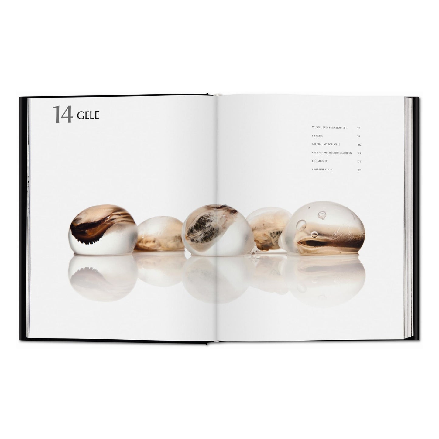 Modernist Cuisine. El arte y la ciencia de la cocina (Spanish)