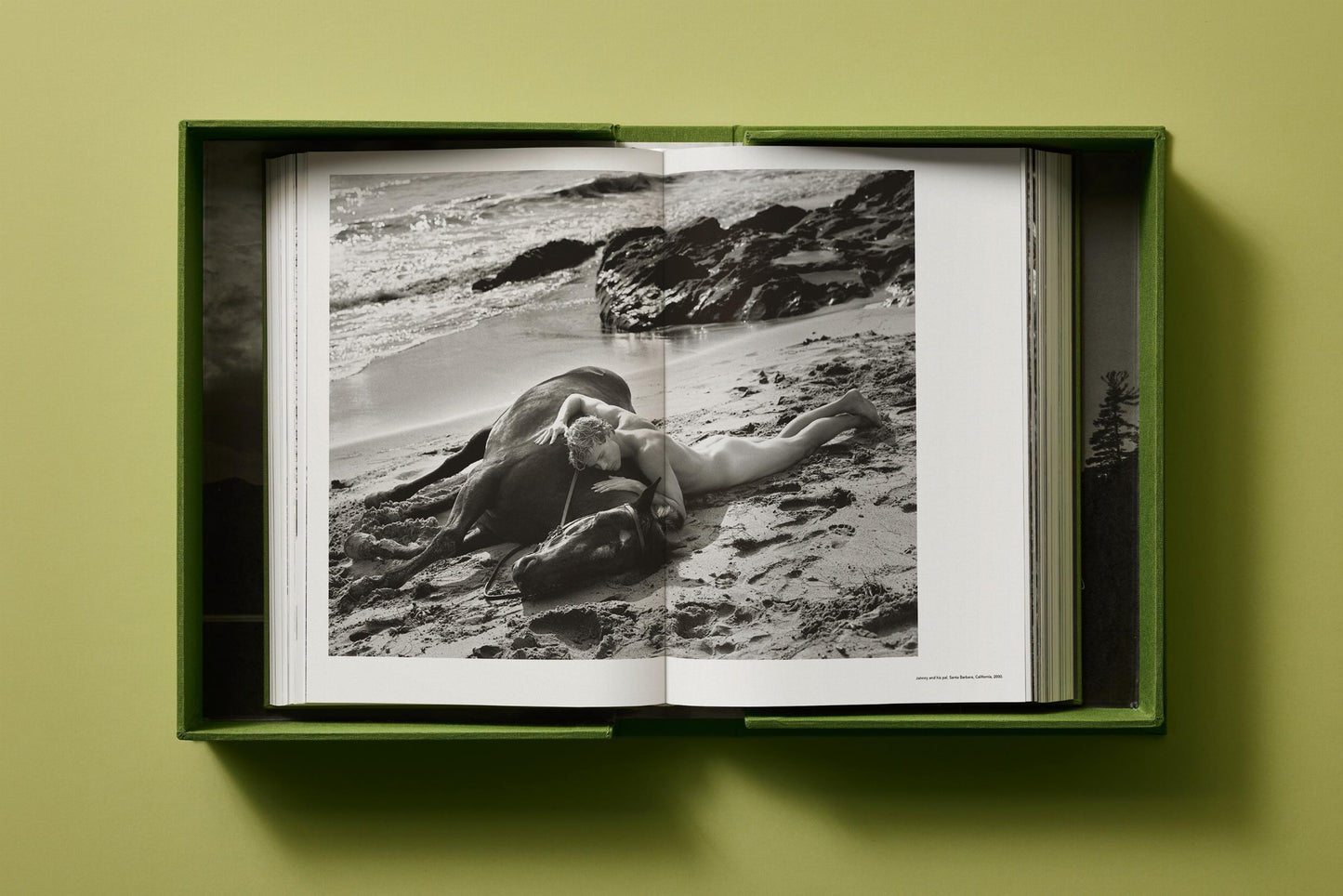 Bruce Weber. My Education. Art Edition No. 1–100, ‘Jeff Aquilon, Kona, Hawaii’, 1982 (German, French, English) (AP)