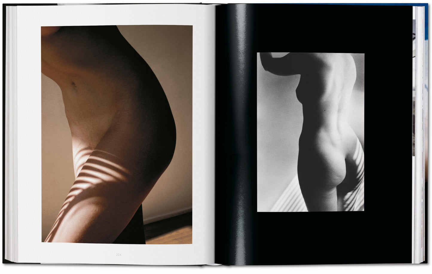 Ralph Gibson. Nude (German, French, English)