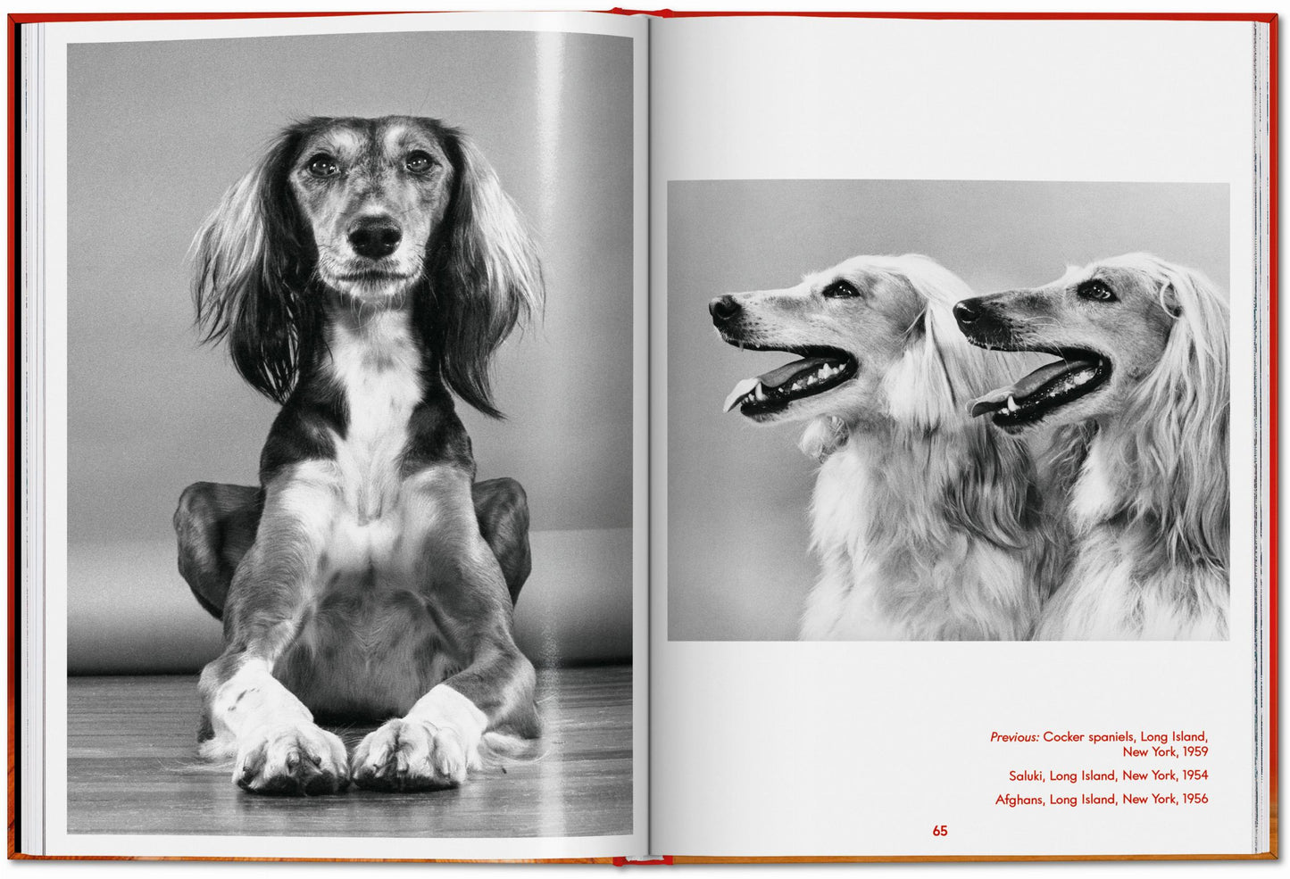 Walter Chandoha. Dogs. Photographs 1941–1991 (English)
