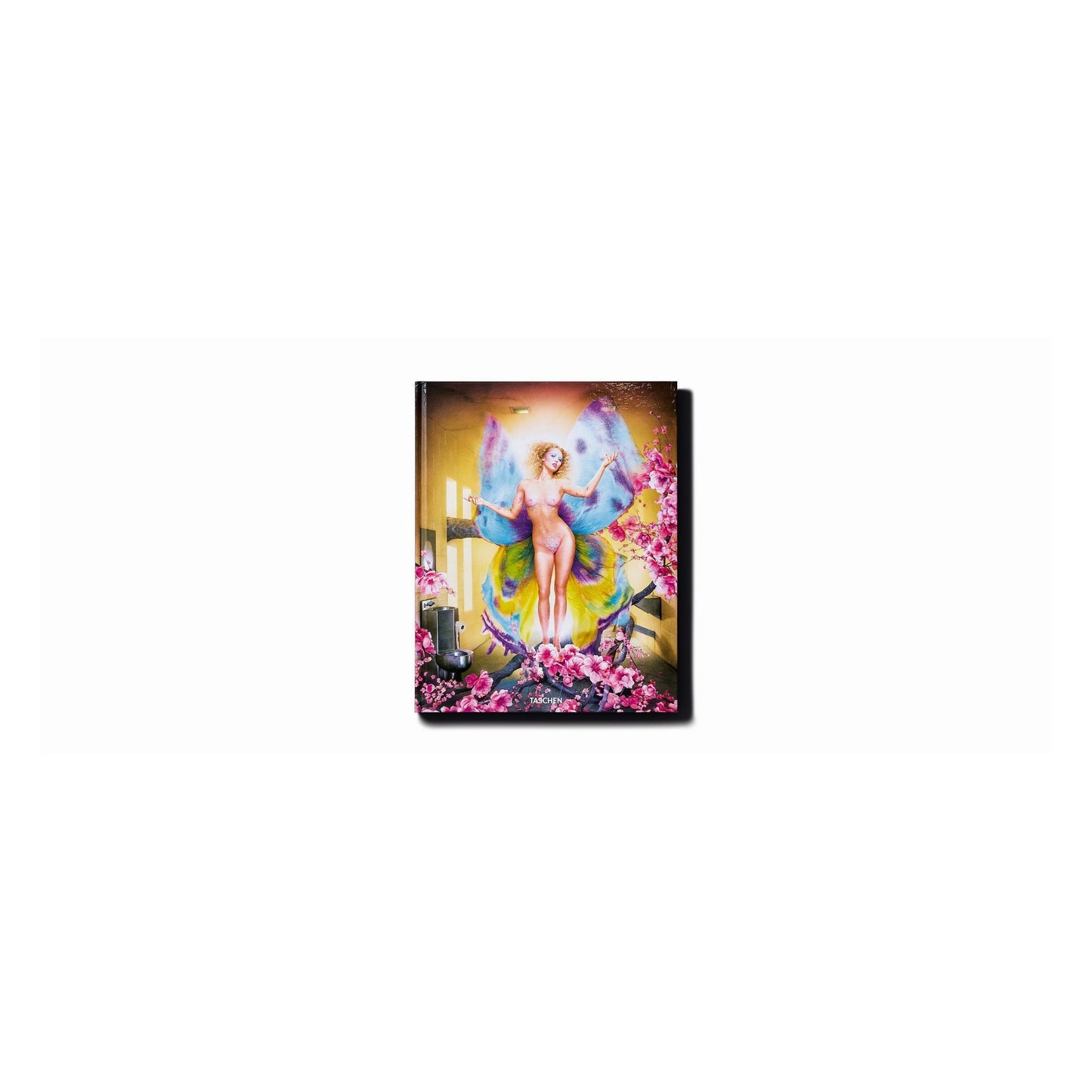 David LaChapelle. Lost and Found – Good News, Art Edition (German, French, English) (SA)