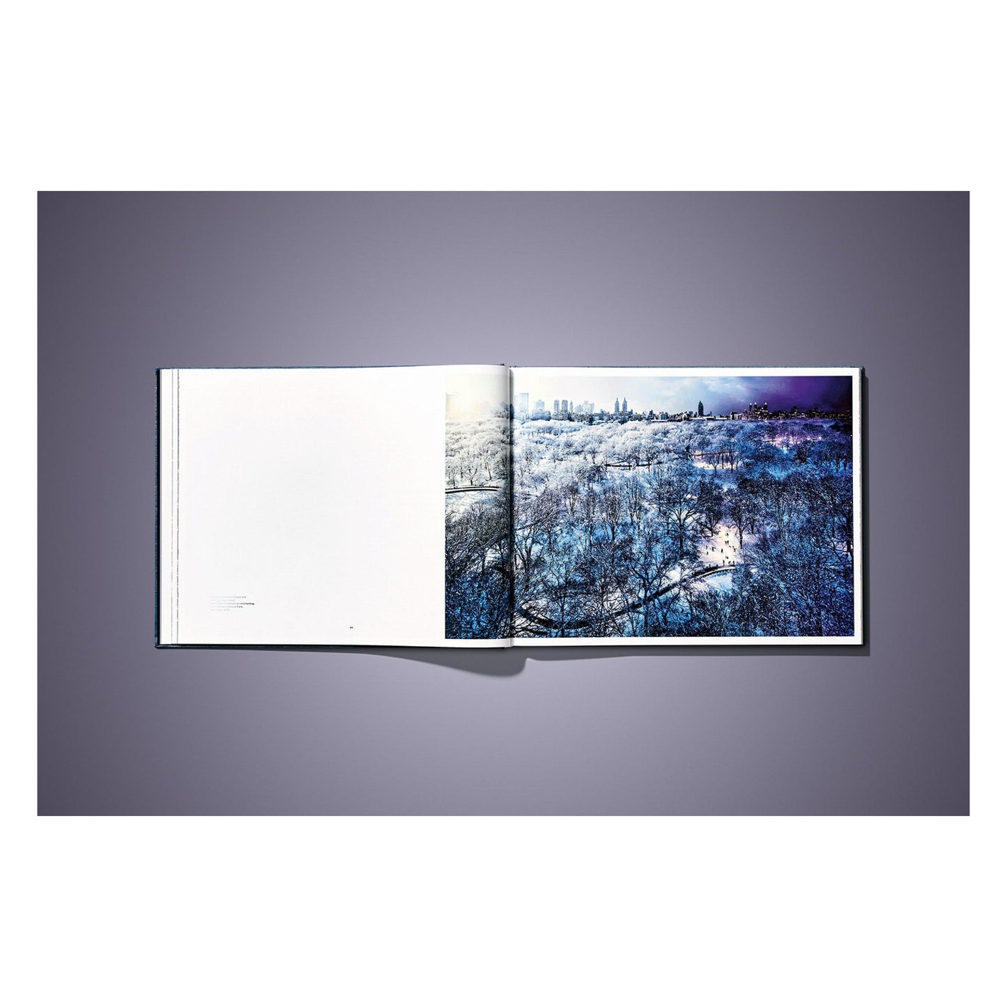 Stephen Wilkes. Day to Night. Art Edition No. 101–200 ‘Grand Canyon, Arizona, 2015’ (German, French, English)