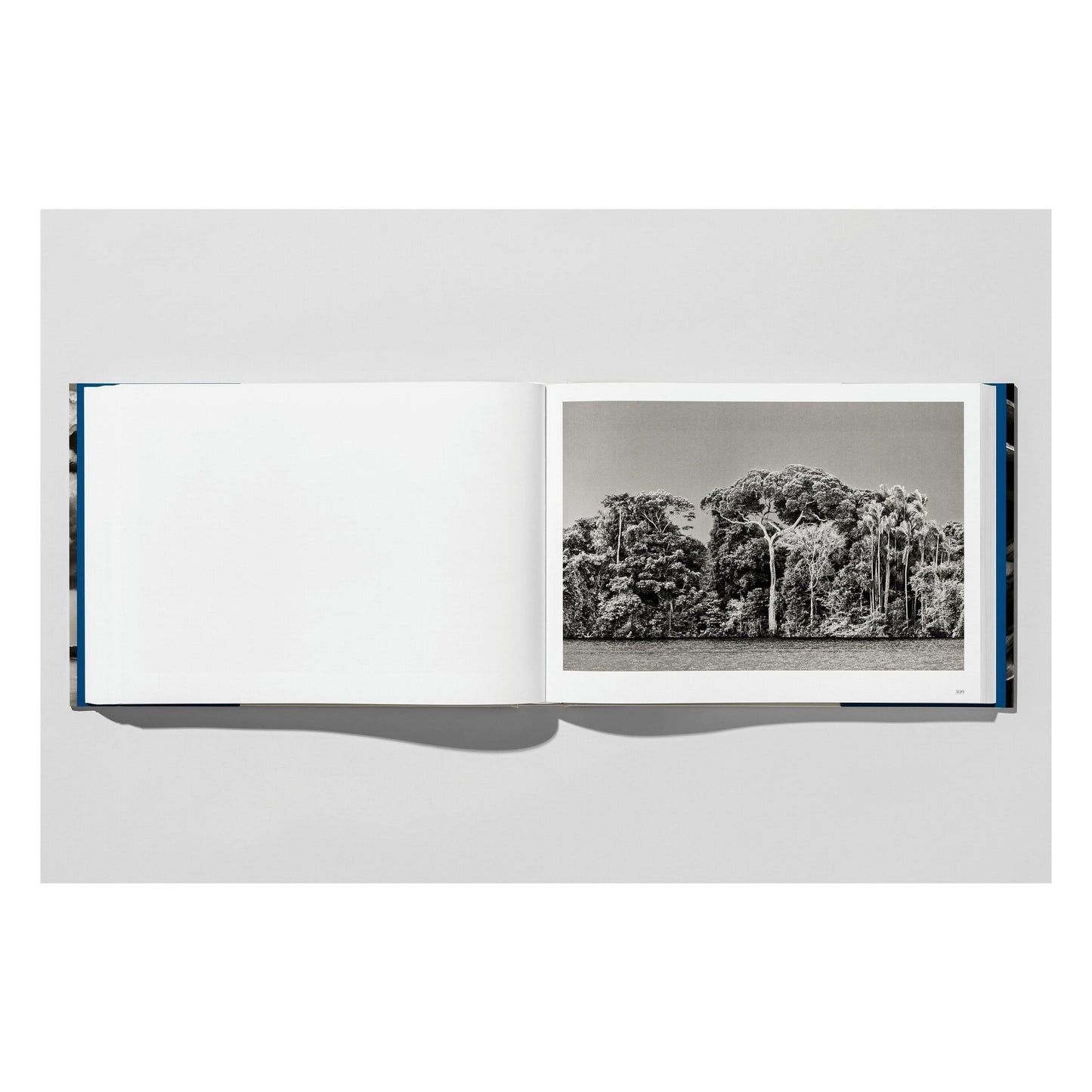 Sebastião Salgado. Amazônia (Spanish)