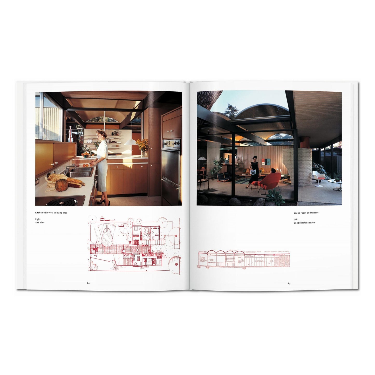 Case Study Houses (Italian)