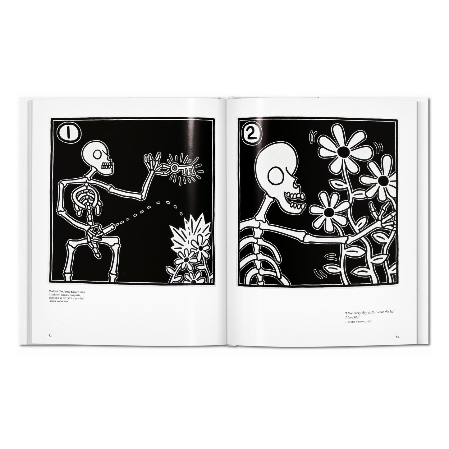 Haring (Italian)
