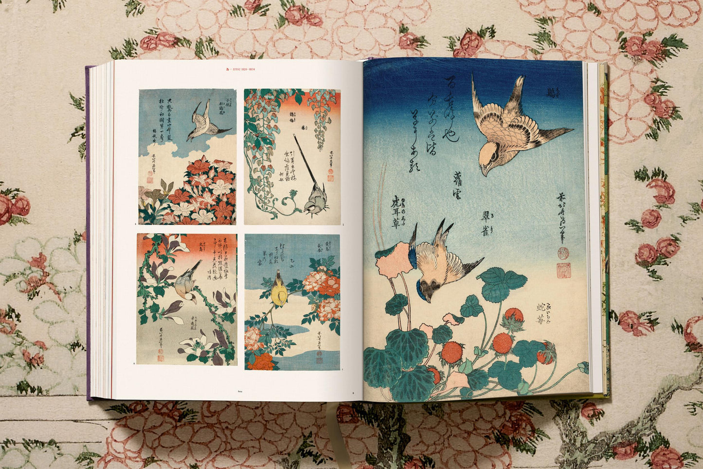 Hokusai (German, French, English)