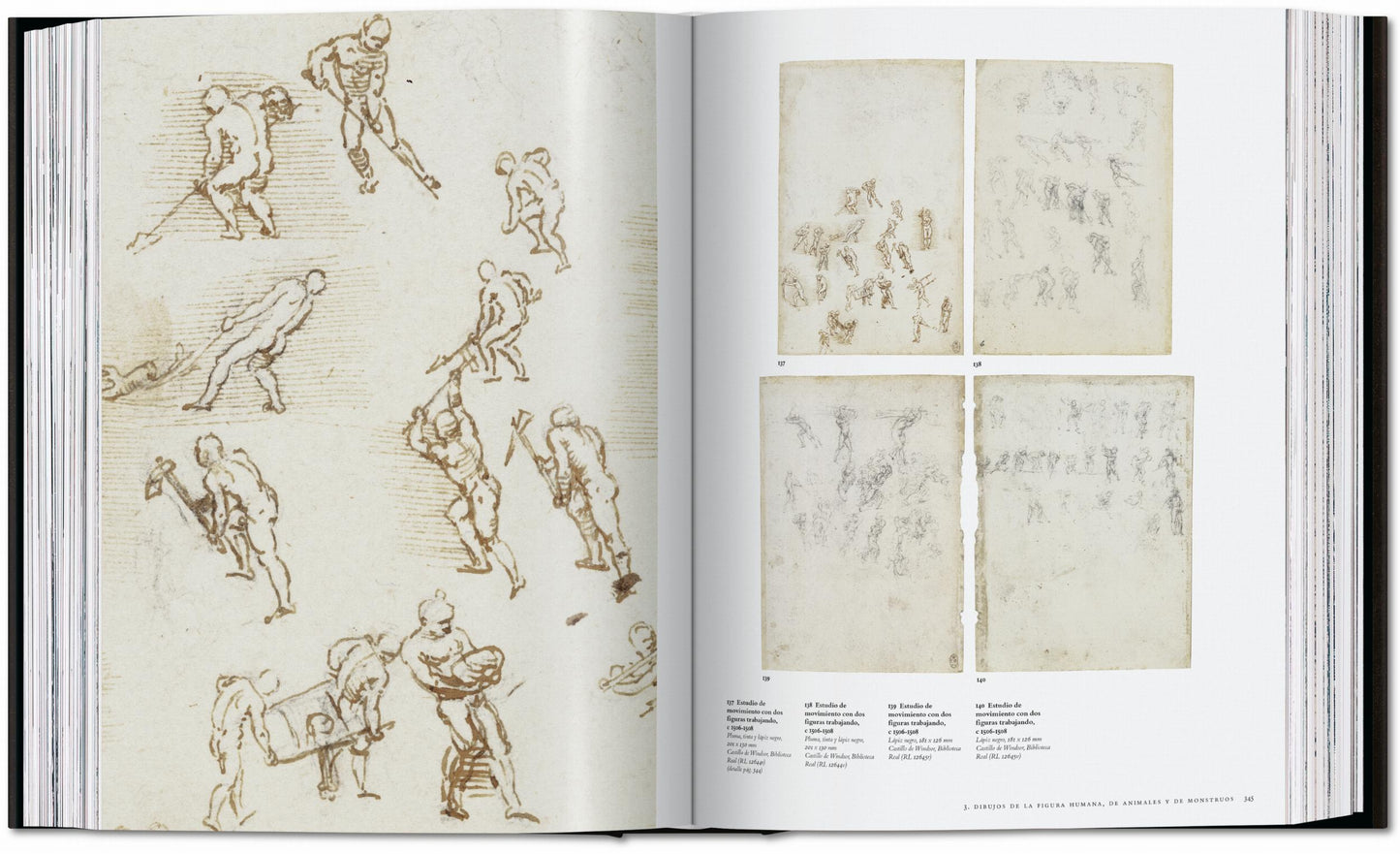 Leonardo. Tutti i dipinti e disegni (Italian)