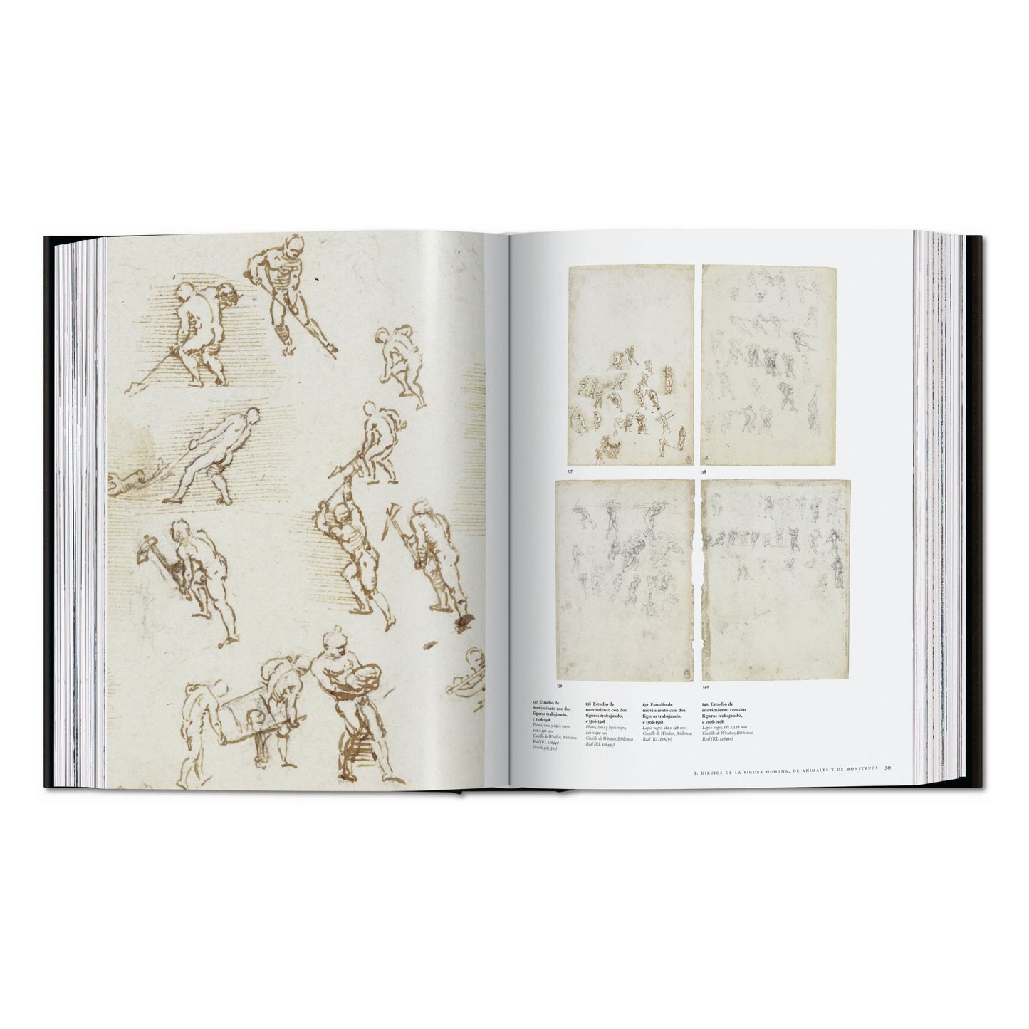 Léonard. Tout l'œuvre peint et graphique (French)
