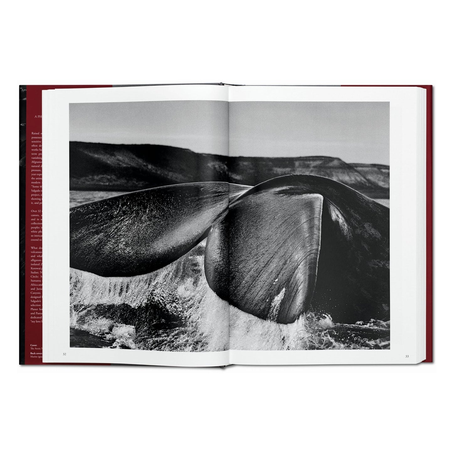 Sebastião Salgado. Genesi (Italian)
