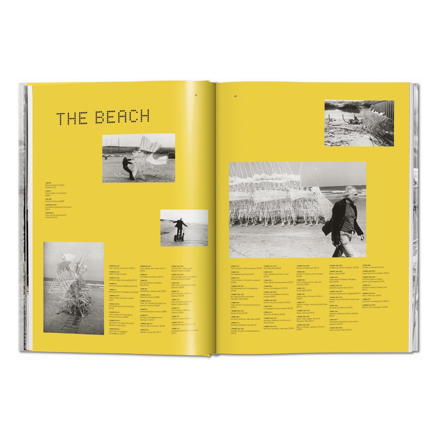Strandbeest. The Dream Machines of Theo Jansen (German, French, English)