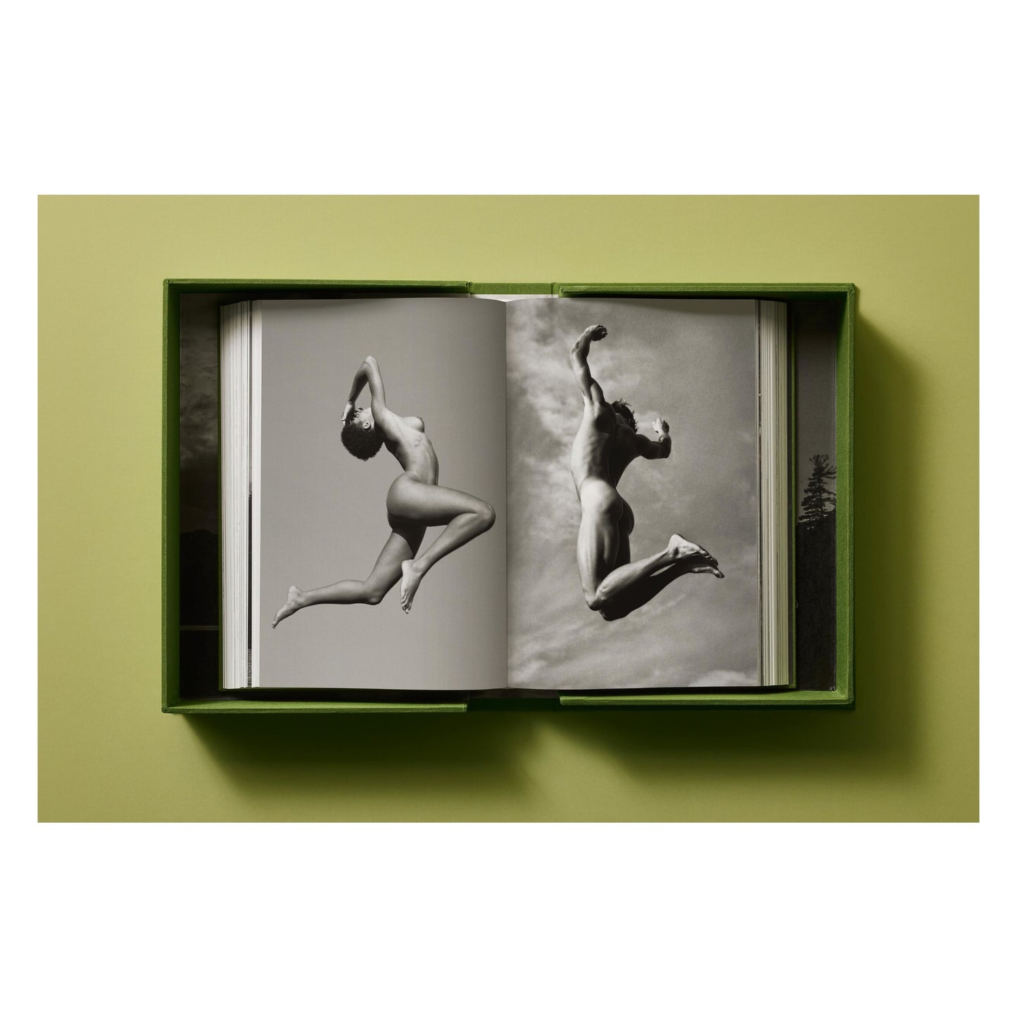 Bruce Weber. My Education. Art Edition No. 1–100, ‘Jeff Aquilon, Kona, Hawaii’, 1982 (German, French, English)