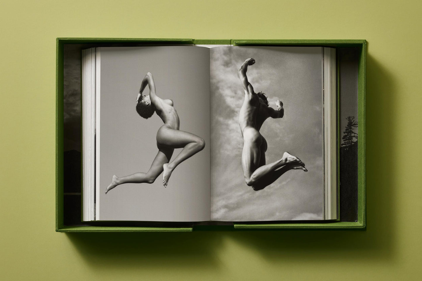 Bruce Weber. My Education. Art Edition No. 101–200, ‘Michael St. Pierre with Bonkers, Thousand Oaks, California’, 2004 (German, French, English) (AP)