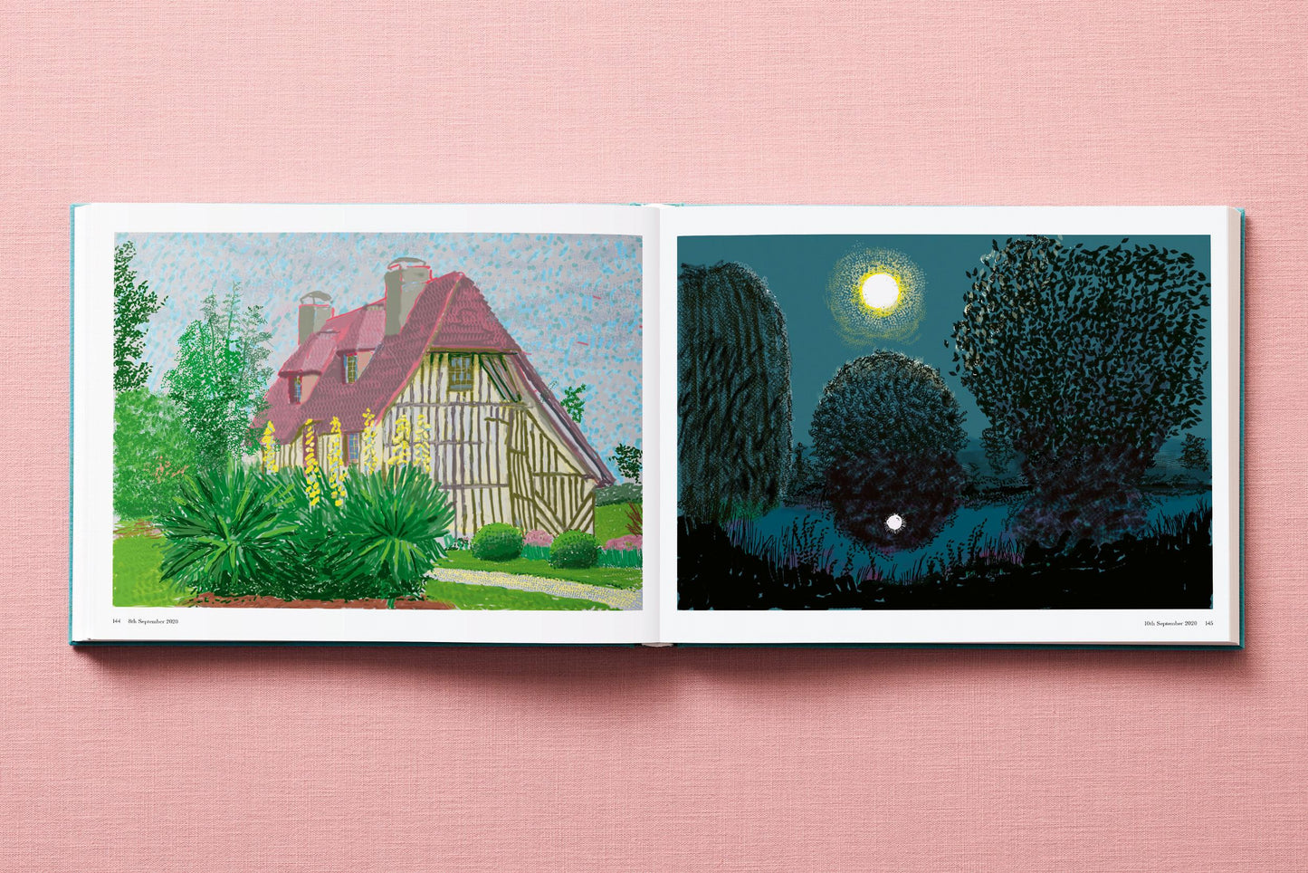 David Hockney. 220 for 2020 (English)