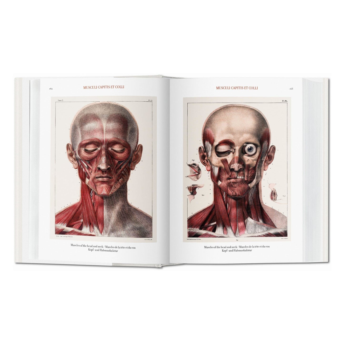 Bourgery. Atlas de anatomía humana y cirugía (Spanish, Italian, Portuguese)