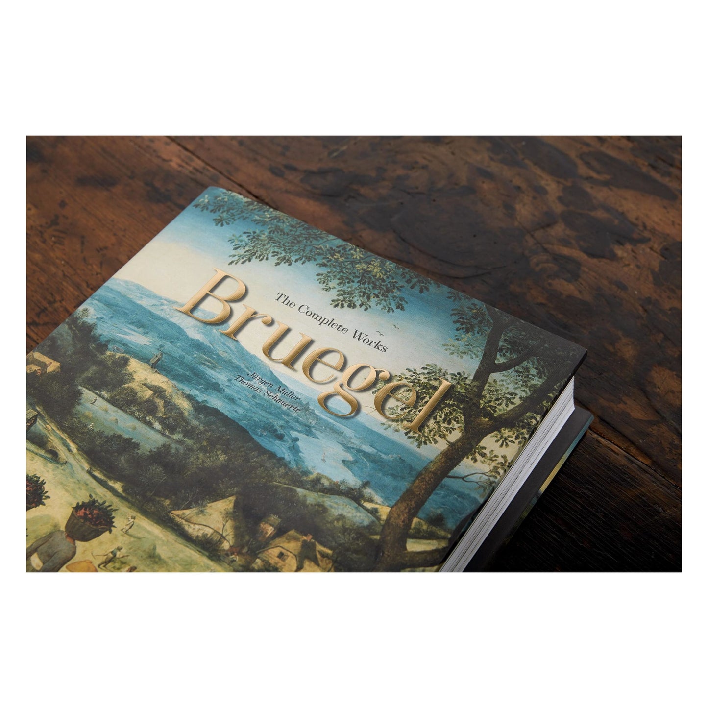 Bruegel. Das vollständige Werk (German)