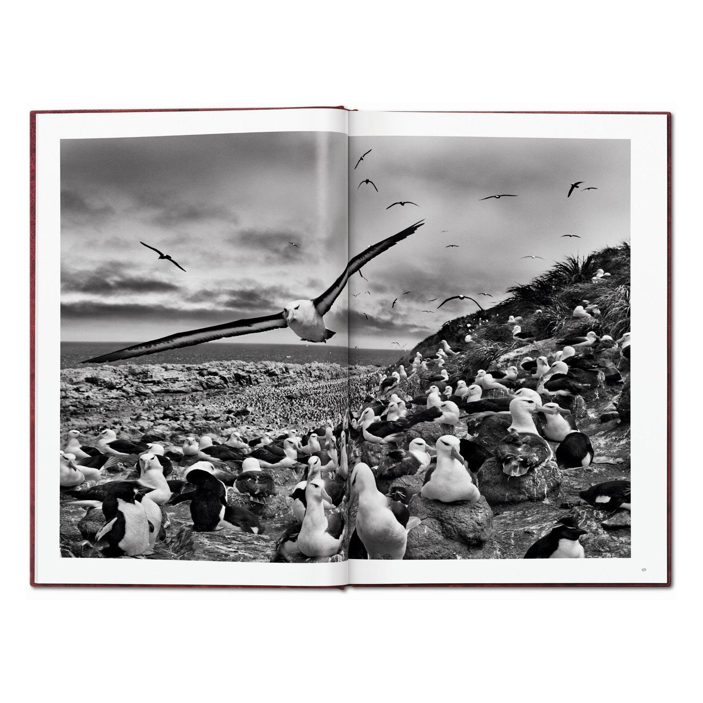 Sebastião Salgado. Genesis. Art Edition No. 1–100 ‘Two Mursi Women, Omo Valley, Ethiopia’ (English)