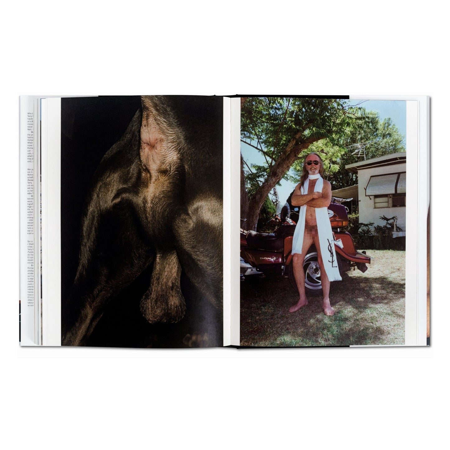 Terry Richardson. Terryworld, Art Edition No. 1–250 ‘Panty’ (German, French, English)