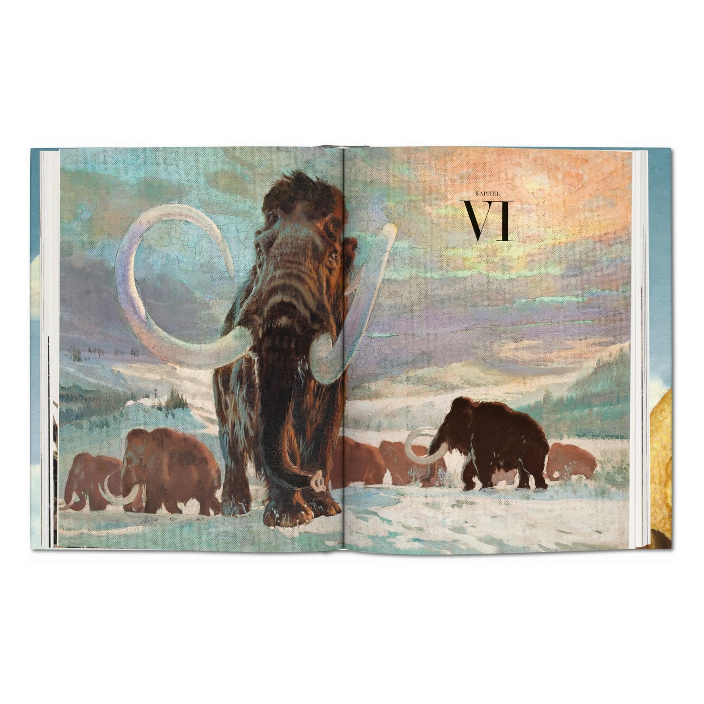 Paleoart. Visions of the Prehistoric Past (English)